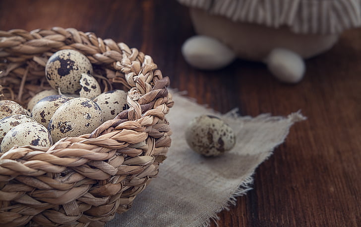 basket, egg, quail eggs, easter, custom, customs, easter holidays