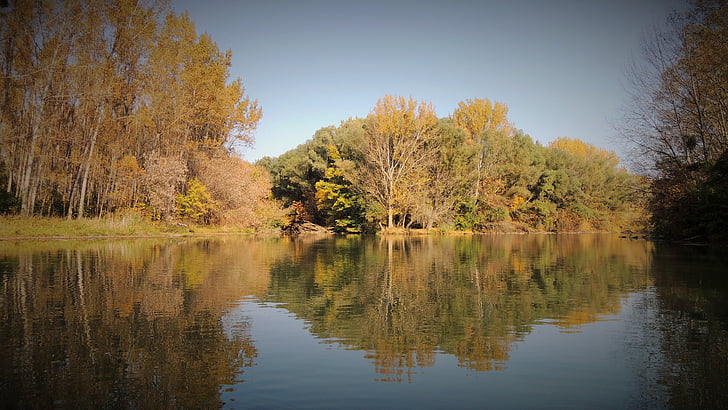petit danube, rivière, Slovaquie, nature, eau, automne, réflexion