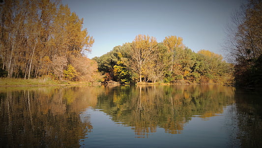 Малый Дунай, Река, Словакия, Природа, воды, Осень, отражение