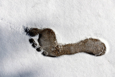 impronta, a piedi nudi, piedi, muta, neve, freddo, ghiaccio