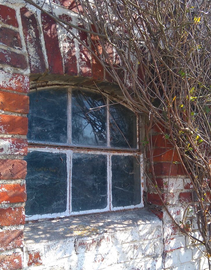 vindue, stall, gamle, historisk set, installere vindue, metal, landbrug