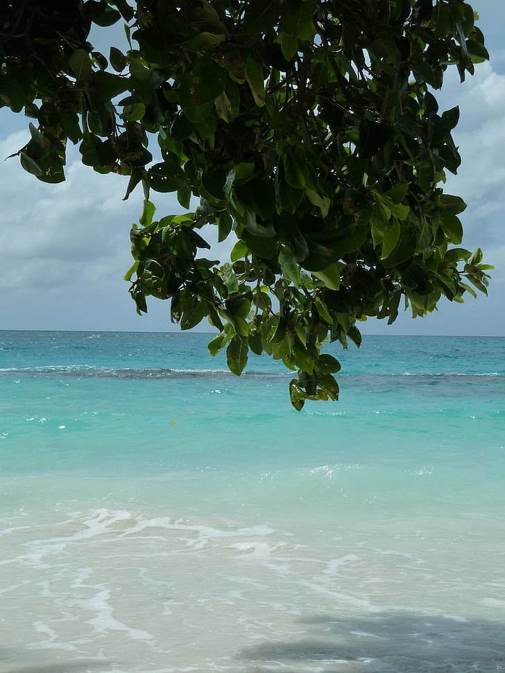 sea, water, coast, caribbean, beach, nature, wave