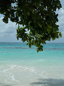 morze, wody, Wybrzeże, Karaiby, Plaża, Natura, fala