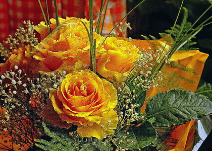 Blumenstrauß, Strauß Rosen, Blumenstrauß, Geburtstag Blumenstrauß, Blumen für dich, Blumen für Sie, Tee-Rosen