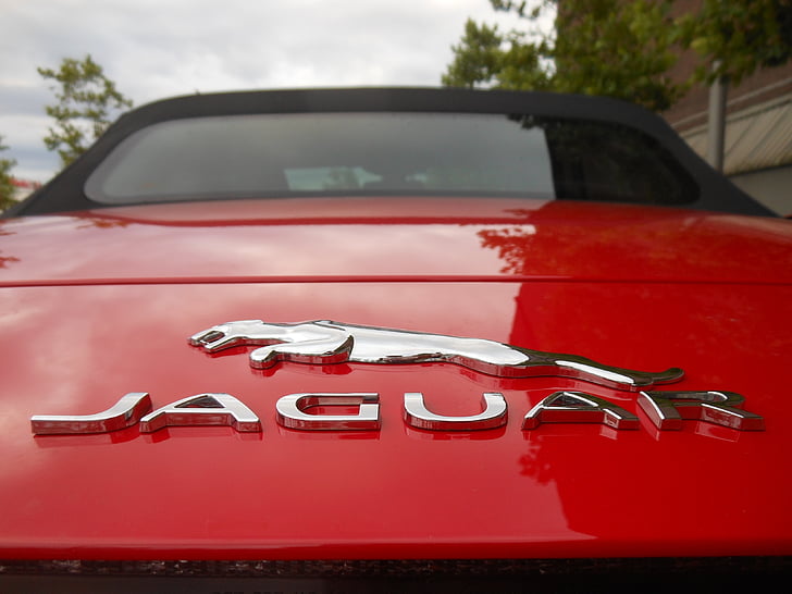 Jaguar, type f, voiture de sport, convertible, deux places, luxe, véhicule