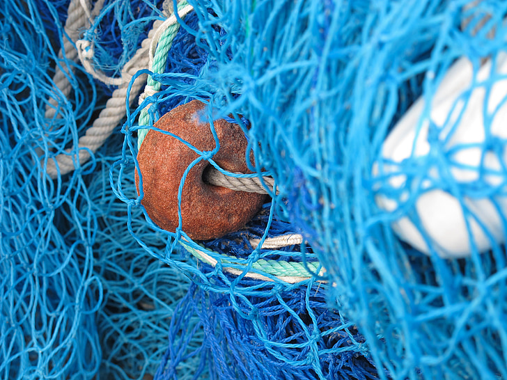 fiskeri net, netværk, fiskeri