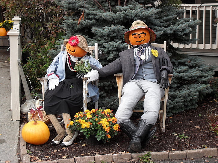 pumpkin, jack-o-lantern, fall, outdoor, humor, traditional, foliage