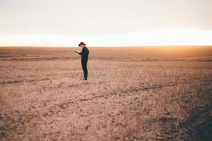 man, standing, brown, grass, field, holding, book