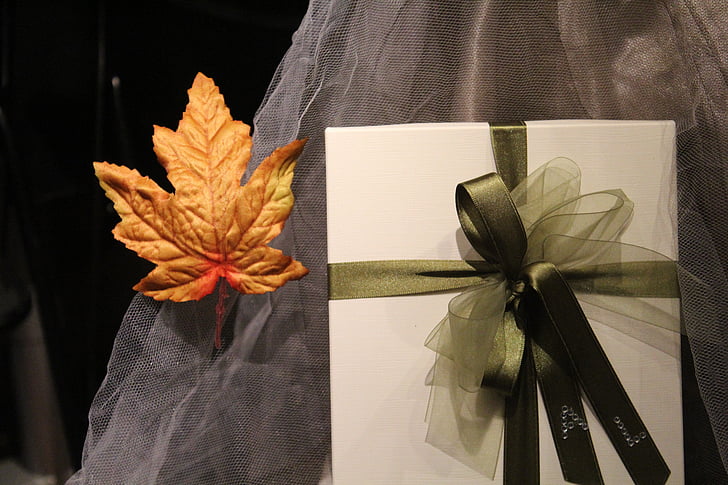 hadiah, daun, busur, ulang tahun