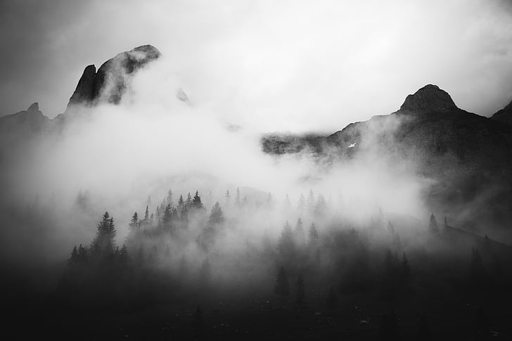 black-and-white, foggy, forest, mountains, nature, trees
