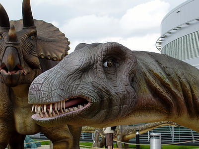 dinosaurus, brontosaurus, kepala, gigi, punah, model, model