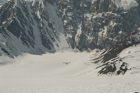 avió d'esquí, pilot de Bush, Alaska, Parc Nacional de Denali, avió, paisatge, volant