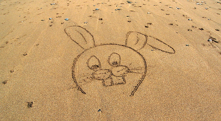 кролик, мультфільм, пляж, пісок, малювання, ескіз, заєць