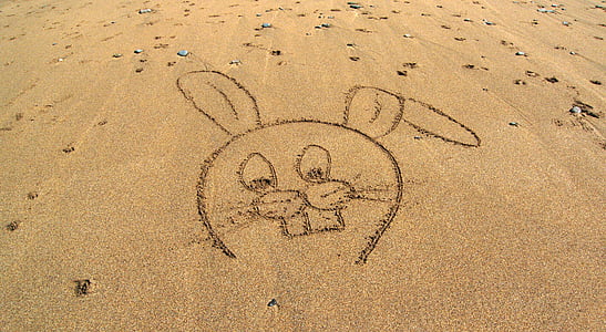 coniglio, fumetto, spiaggia, sabbia, disegno, schizzo, coniglietto