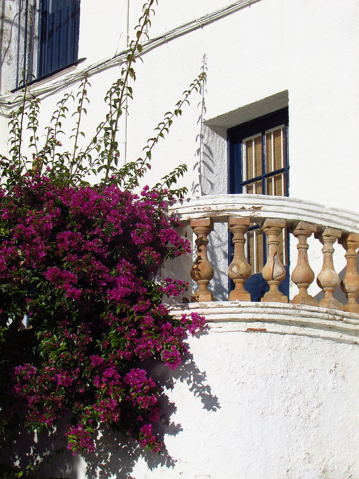 Cadaqués, balcon, terasa, floare, Costa brava, Catalonia, arta