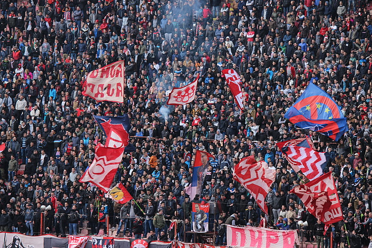 fans, ultras, Delije, Belgrade, Marakana, étoile rouge, Arena