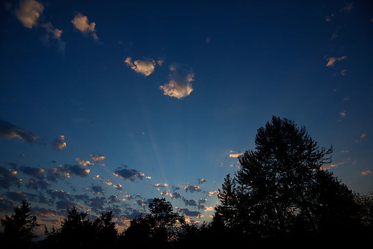 silhouette, trees, sunset, clouds, sky, sun, nature