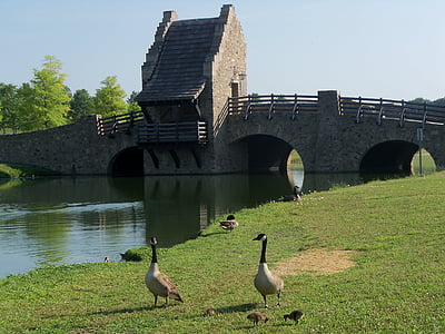 brug, ganzen, natuur, Lake, Park, middeleeuwse