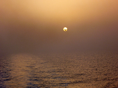 puesta de sol, mar, Grecia, vacaciones, Seagull, vacaciones, naturaleza