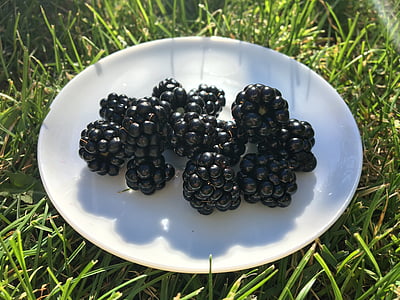 黑莓, 板, 草, 绿色, 水果, 收获, 白色