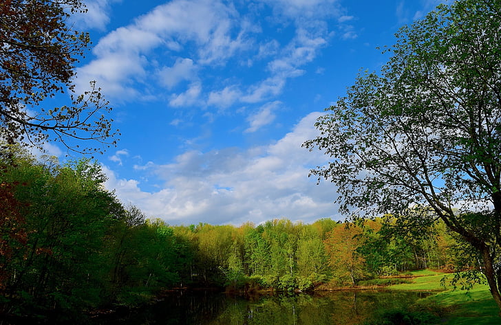 Teich, Bäume, Frühling, Natur, Wasser, Landschaft, Park