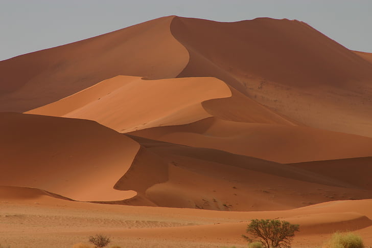 dűnék, sivatag, homok, táj, száraz, természetes, természet