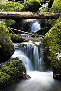 山间小溪, 自然, 水, 瀑布, 议案, 风景, 流动的水