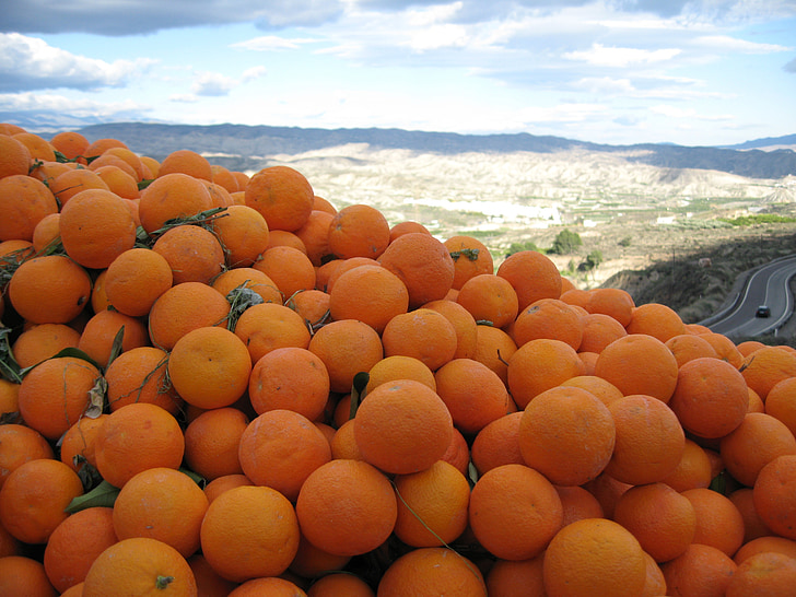 orange, Espagne, ensoleillée, oranges, agrumes, vitamines, marché aux fruits