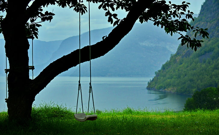 swing, the old tree, mountain, lake