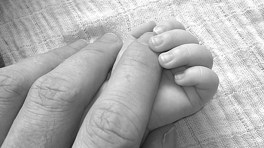 nadó, en blanc i negre, dits, mans, mans de celebració, l'amor, nadó