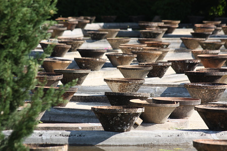 pots, water lily, so much