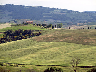 Tuscany, Hill, pemandangan, liburan, pinus, hijau, rumah