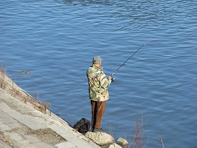 homme, rivière, Danube, poisson, pêcheur, pêche, en plein air