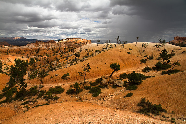 Bryce canyon, nemzeti park, Park, crossusa, Amerikai Egyesült Államok, Colorado