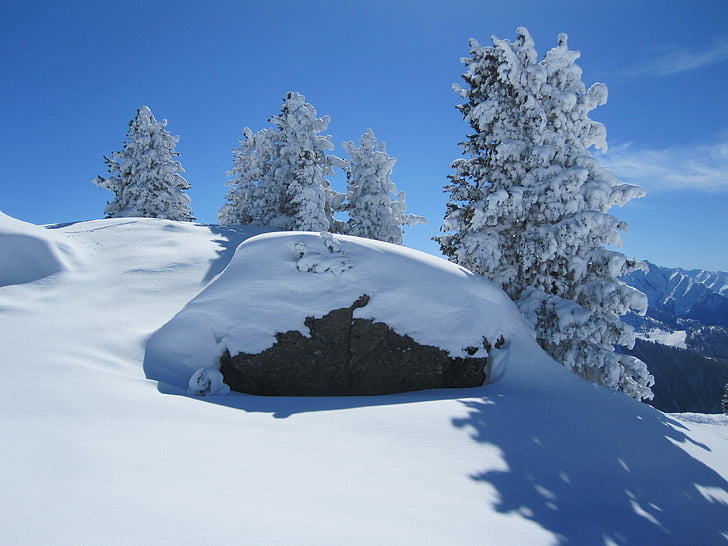 nieve, invierno, montaña, invernal, árbol, sueño de invierno, naturaleza