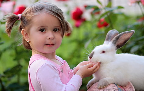 Flicka, kanin, vänskap, Kärlek, leveranser, kanin - djur, barn