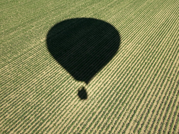 cornfield, hot air balloon, hot air balloon ride, shadow