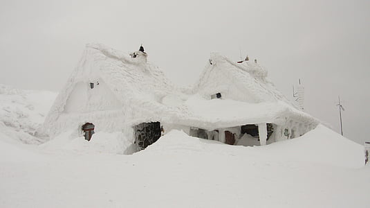 house, snow, buried, winter, december, january, storm