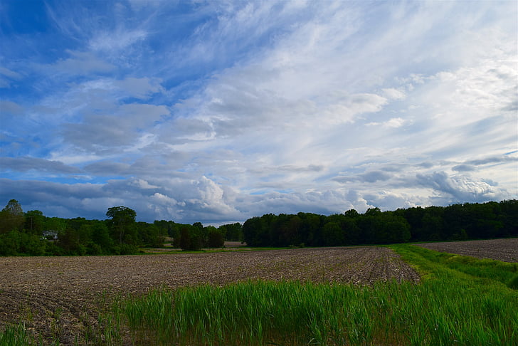 oblačno nebo, polje farme, nebo, farma, ruralni, polje, krajolik