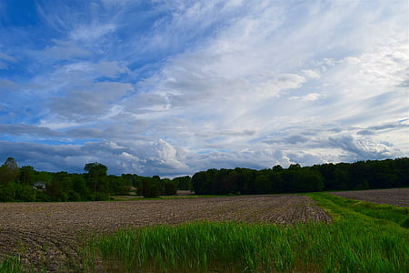 cloudy sky, farm field, sky, farm, rural, field, landscape
