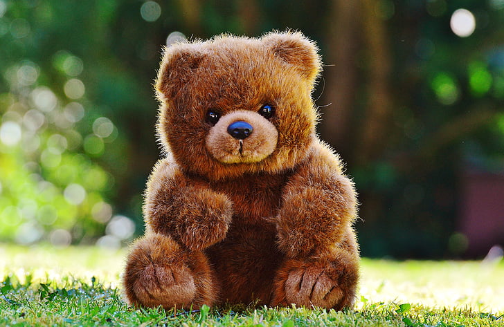medvěd, Teddy, Plyšová hračka, vycpané zvíře, medvěd hnědý, děti, zvíře