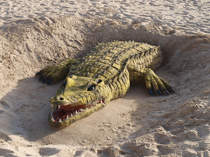 sand sculpture, beach, crocodile sand