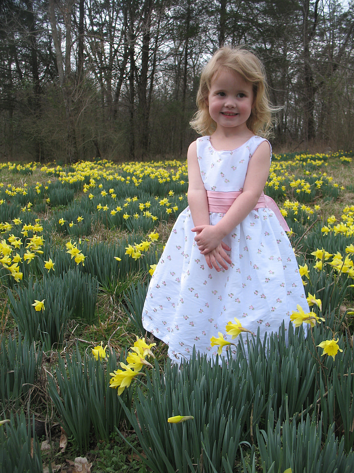 dievča, Narcis pole, jar, šťastný, dieťa, vonku, mladý