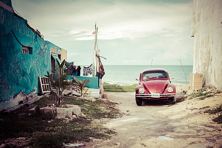 bil, Volkswagen, gamle, bille, Mexico, Street, Tour