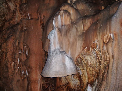 orso, Grotta, Transilvania