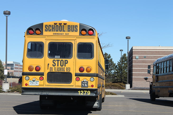 l'escola, autobús, transport, groc, vehicle, transport, elemental