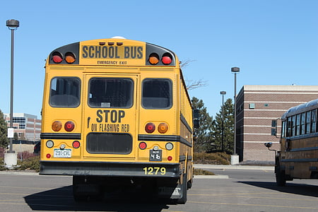 escola, ônibus, transporte, amarelo, veículo, transportes, escola primária