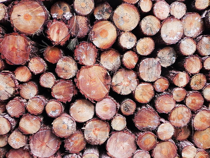 natura, legno, foresta, tronco d'albero, struttura, legno - materiale, industria del legname