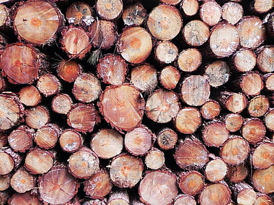 自然, 木材, フォレスト, 木の幹, 構造, 木材・素材, 木材産業