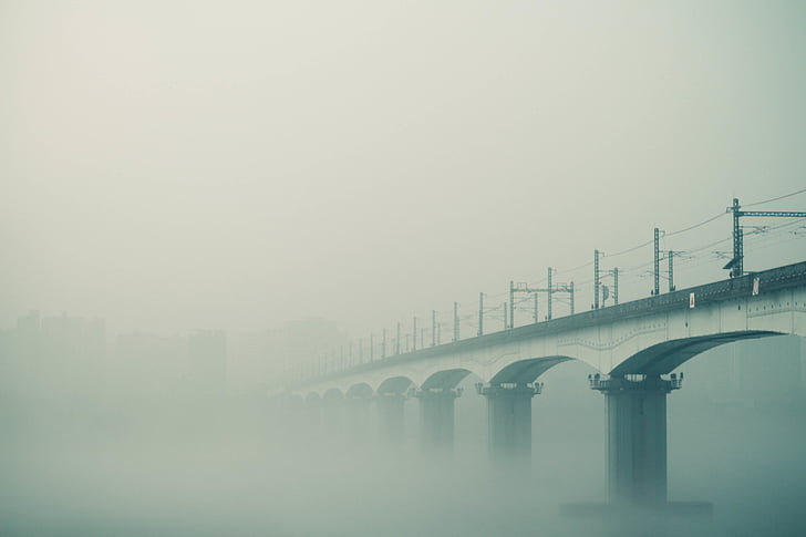 Branco, concreto, ponte, cobertos, névoa, pontes, nevoeiro